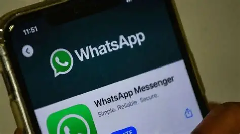 电脑玩转WhatsApp?3分钟搞定网页版登录