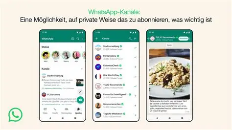 WhatsApp下载相关配图